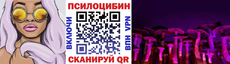 купить наркоту  Махачкала  Псилоцибиновые грибы прущие грибы 