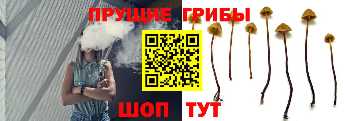 Махачкала  Псилоцибиновые грибы мицелий  Вход с VPN 